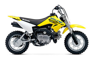DR-Z50