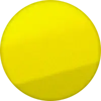 Champion Yellow No.2
