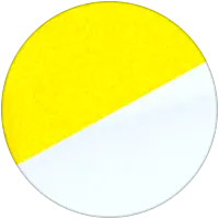 Champion Yellow No.2